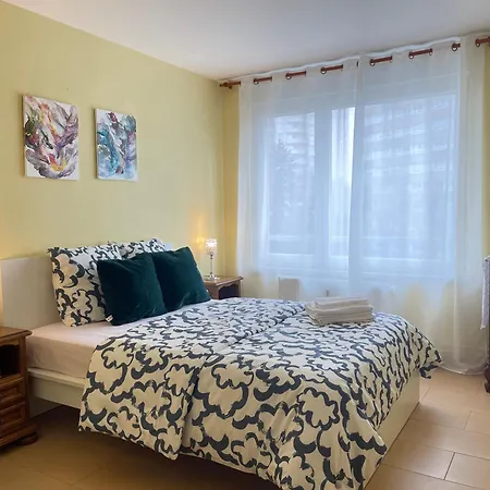 如家公寓1 Apartment Strasbourg
